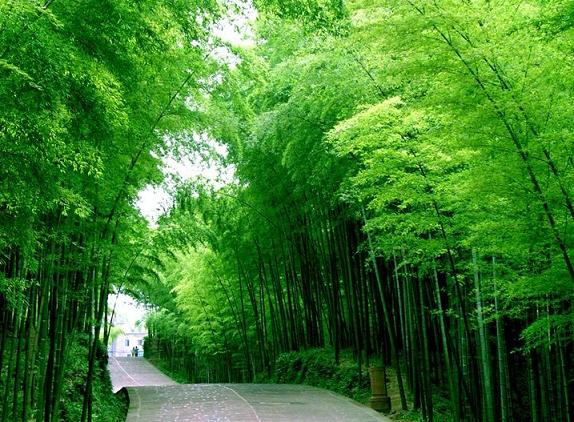 溧陽天目湖兩天一夜游